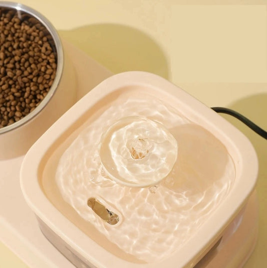 2-in-1 Cat Water Dispenser & Food Bowl – Automatic Water Fountain with Dry & Wet Food Separation | Spill-Proof, Easy-Clean Design for Cats & Small Dogs